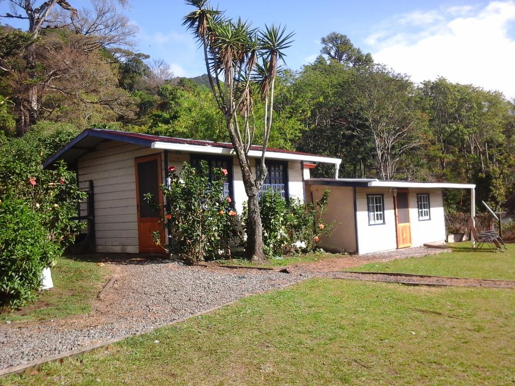 Hostal Casa Pedro Boquete Oda fotoğraf